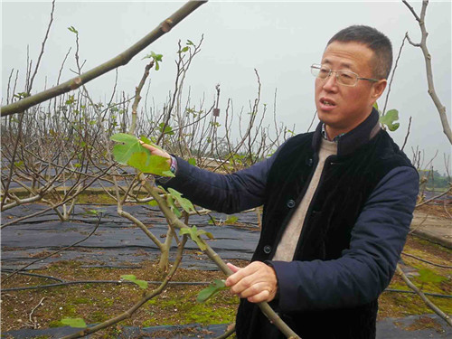 20191206A1_副本.jpg 20191206A1_副本.jpg