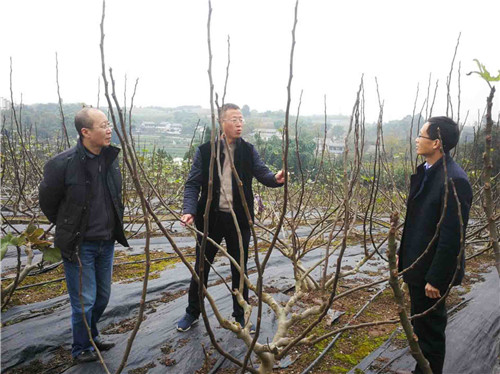 20191206A3_副本.jpg 20191206A3_副本.jpg