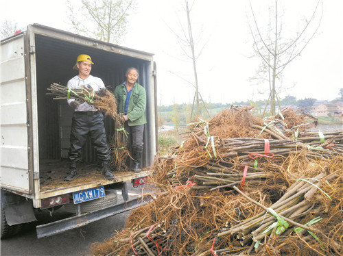 20191206A4_副本.jpg 20191206A4_副本.jpg