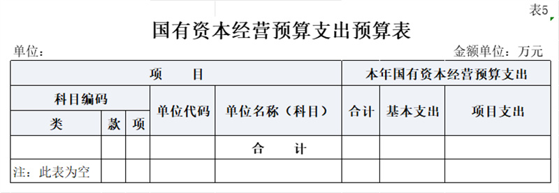 12.国有资本经营预算支出预算表（公开表5）.jpg
