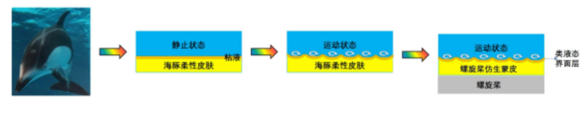 66c6ab07e7f96.png 66c6ab07e7f96.png