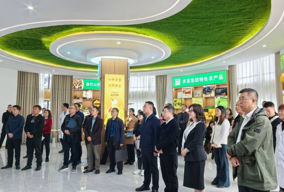 截图录屏_选择区域_20241105091009.png 截图录屏_选择区域_20241105091009.png